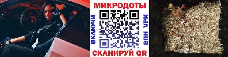 Псилоцибиновые грибы ЛСД  купить   Курск 