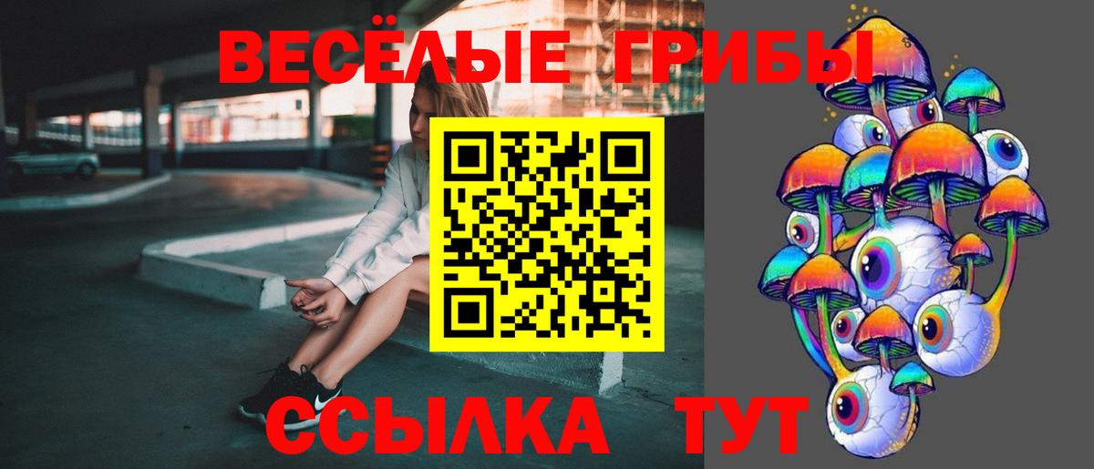 Псилоцибиновые грибы мухоморы  Вход с VPN  Псилоцибиновые грибы Psilocybe  Курск 