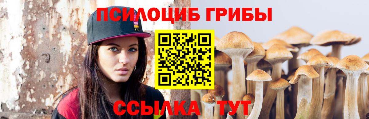 Псилоцибиновые грибы мицелий Курск